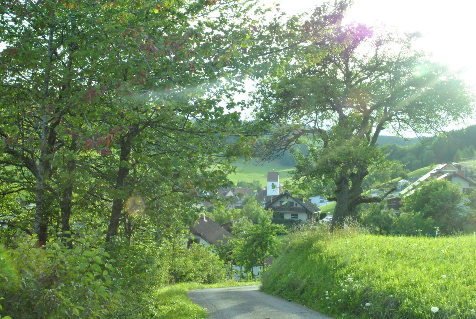 Gasthaus Kranz Lausheim Exterior foto